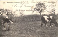 Middelkerke - Au Village