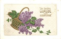 Blumen - Flieder