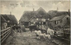 Hallig-Idyll