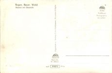 Regen, Stausee mit Staustufe