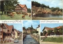 Kurort Floh und Umgebung