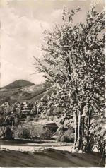 Kurort Jonsdorf mit Lausche