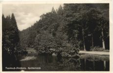 Tambach - Dietharz, Spitterteich