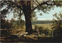 Hotel Schloss Gattendorf