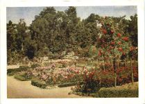 Sangerhausen, 50 Jahre Rosarium