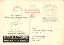 Sternzeichen Löwe - Halle-Ammendorf