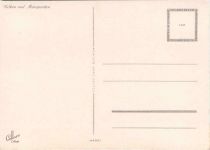 Blumen - Nelken und Margueriten