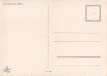 Blumen - Goldball und Phlox