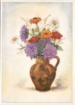 Blumen - Zinnien und Astern