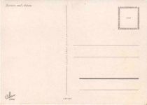 Blumen - Zinnien und Astern