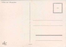 Blumen - Nelken und Margueriten