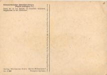 Schmetterling - Südamerikanischer Schwalbenschwanz