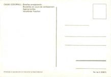 Cavas Codorniu - Weinkeller