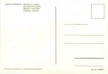 Cavas Codorniu - Weinkeller