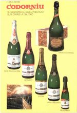 Cavas Codorniu - Wein