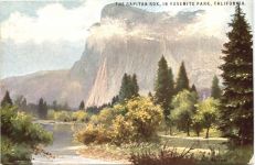 California - Yosemite Park - Künstler Ak Werner