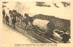 Bayerischer Wald - Transport eines Riesenbloches zum Sägewerk