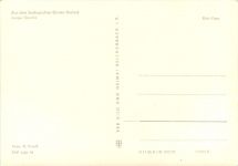 Rostock - Zoo -Gorilla