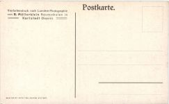 Karlstadt - Drei Rosen Neuheiten
