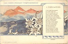 Edelweiss - Litho