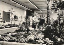 Erfurt - Internationale Gartenbauausstellung