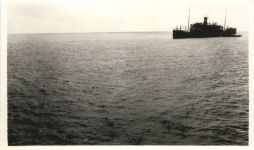 Taucher im Hafen von Zanzibar