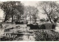 Militär - Schützenpanzer