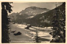 Im Wäldele bei Hirschegg