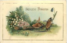 Pfingsten - Maikäfer