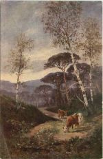 Kühe