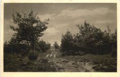 Heideweg bei Gütersloh