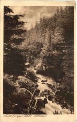 Teutoburger Wald - Silbertal