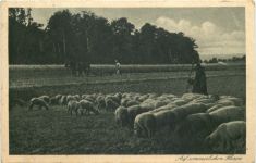 Schäfer - Bahnpost Hagen - Dieringhausen