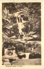 Steinerne Renne im Harz - Hasserode