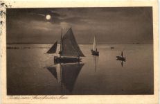 Partie am Steinhuder Meer