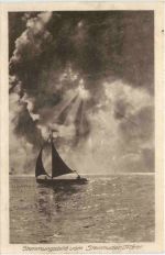 Stimmungsbild am Steinhuder Meer