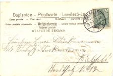 Gruss aus - Blumen - Prägekarte