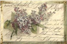 Duftkarte - Flieder