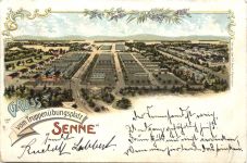 Gruss vom Truppenübungsplatz Senne - Litho