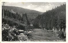 Gehlberg - Schneetigel