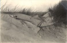 Langeoog