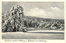 Willingen - Waldeck - Am Ettelsberg