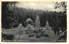 Braunlage - Verlobungswiese