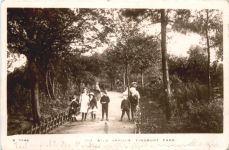 The Wild Garden - Finsbury Park - London