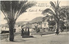 Uns saluto da S. Margherita ligure