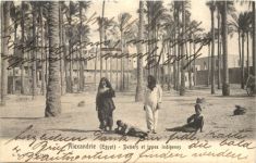 Alexandrie - Datiers et types indigenes