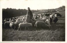 Schäfer - Au Paturage