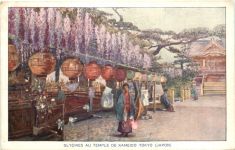 Japan - Glycines au Temple de Kameido Tokyo