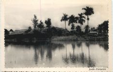Vietnam - Jardin d arequiers