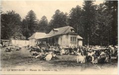 Le Mont Dore - Plateau du Capucin
